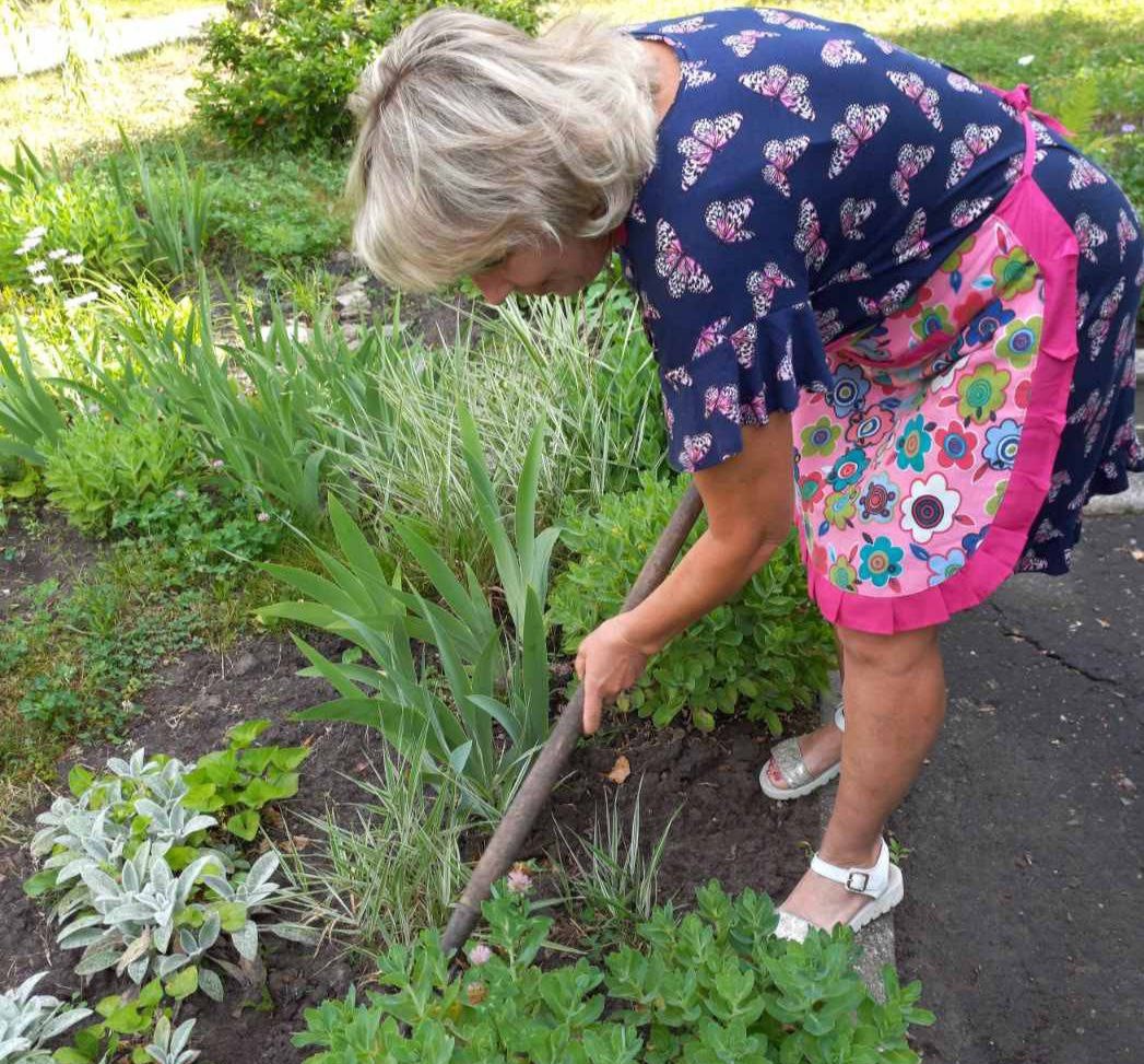 449962681_519167480439267_6065213277501501246_n